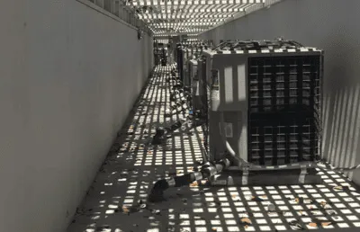 Coastal Climate Co. HVAC project 7